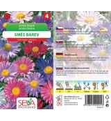 Astra čínská - směs barev