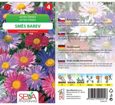 Astra čínská - směs barev