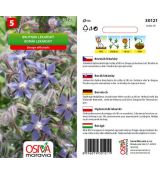 Brutnák lékařský