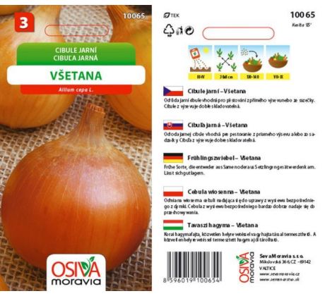 Cibule Všetana