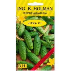 Okurka JITKA F1
