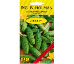 Okurka JITKA F1