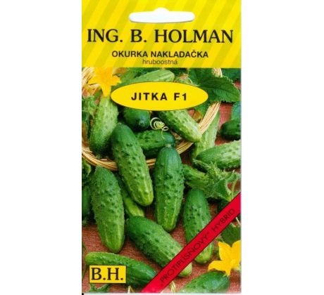Okurka JITKA F1
