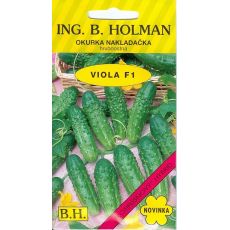 Okurka VIOLA F1