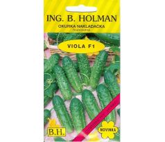 Okurka VIOLA F1