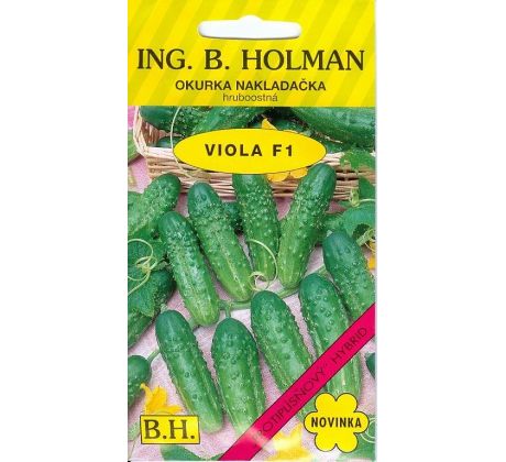Okurka VIOLA F1