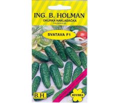 Okurka SVATAVA F1
