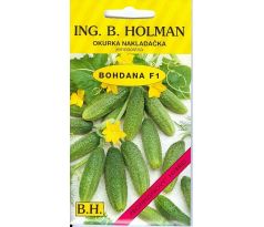 Okurka BOHDANA F1