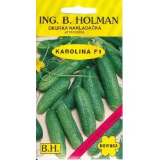 Okurka KAROLINA F1