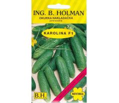Okurka KAROLINA F1