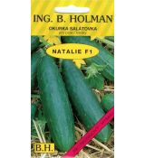 Okurka NATALIE F1