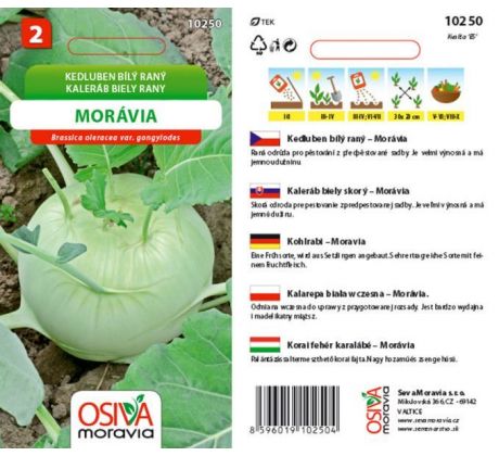 Kedluben MORÁVIA
