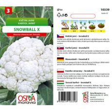 Květák Snowball X