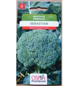 Brokolice SEBASTIAN