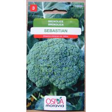 Brokolice SEBASTIAN