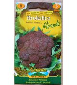Brokolice MIRANDA