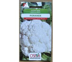 Květák Poranek