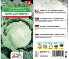 Hlávkové zelí COPENHAGEN MARKET 2