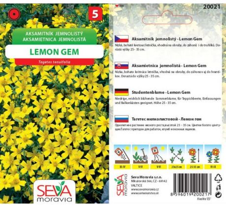 Aksamitník jemnolistý LEMON GEM