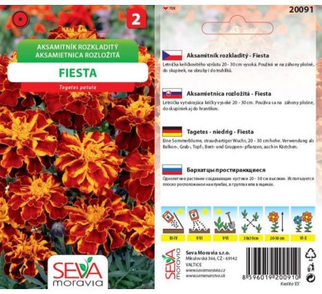 Aksamitník rozkladitý FIESTA