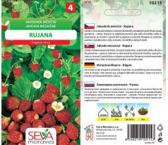 Jahodník měsíční RUJANA