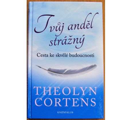Tvůj anděl strážný: Cesta ke skvělé budoucnosti - Theolyn Cortens