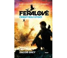 Černý roj útočí - Jacob Grey