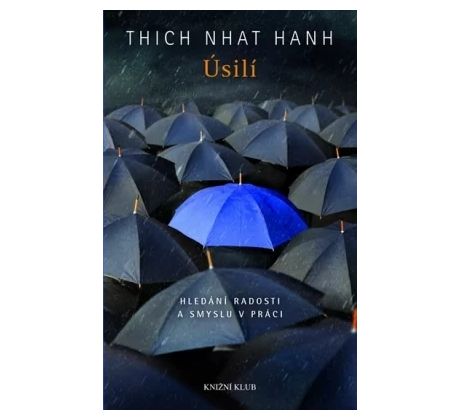 Úsilí: Hledání radosti a smyslu v práci - Thich Nhat Hanh