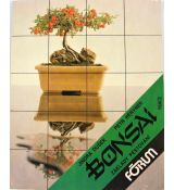 Bonsai - základy pěstování - Petr Herynek & Jindra Dušek