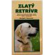 Zlatý retrívr - Marigold Timson