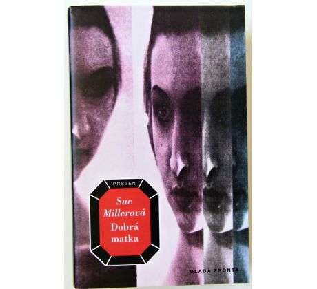 Dobrá matka - Sue Miller