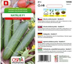 Okurka NATALIE F1 OsivaMoravia