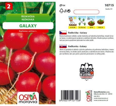 Ředkvička GALAXY