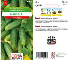 Okurka MARCEL F1
