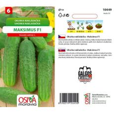 Okurka MAKSIMUS F1