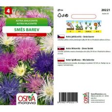 Astra jehlicovitá - směs barev