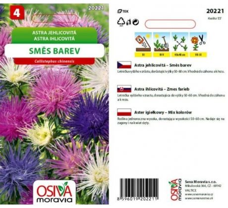 Astra jehlicovitá - směs barev