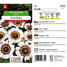 Kopretina kýlnatá Polárka