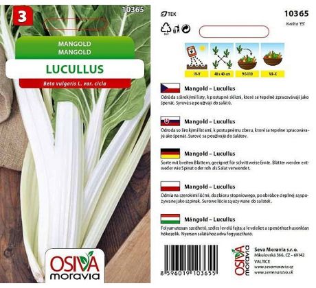 Mangold LUCULLUS