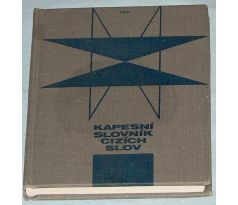Kapesní slovník cizích slov - Ladislav Rejman