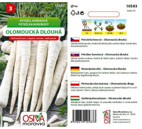 Petržel kořenová OLOMOUCKÁ DLOUHÁ