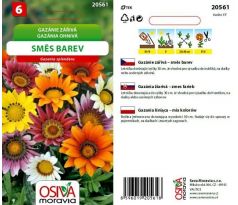 Gazánie zářivá - směs barev