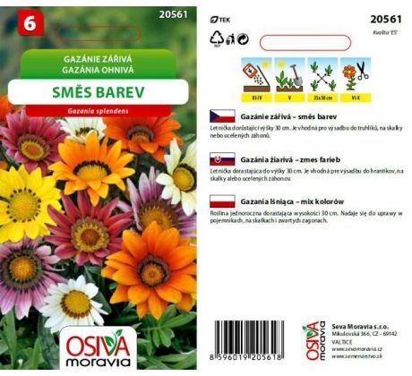 Gazánie zářivá - směs barev