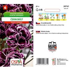 Hvozdík karafiát černobílý