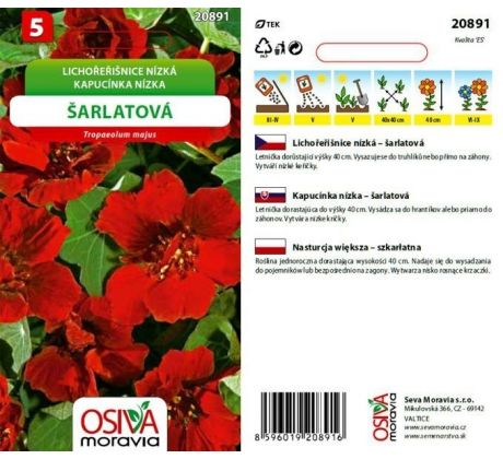 Lichořeřišnice nízká šarlatová
