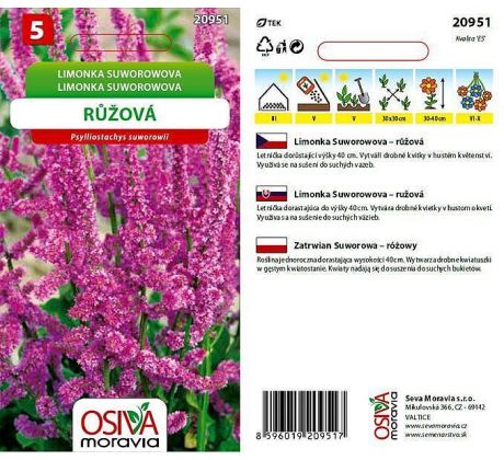 Limonka Suworowova - růžová