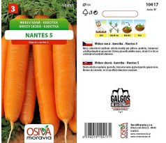 Mrkev NANTES 5