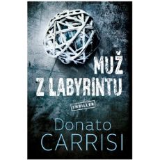 Muž z labyrintu - Donato Carrisi