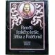 Paměti českého krále Jiříka z Poděbrad - Václav Erben