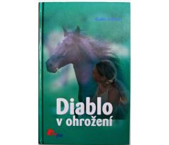 Diablo v ohrožení - Gabi Adam